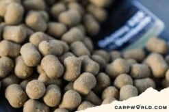 CCMoore Odyssey XXX Shelf Life 1kg