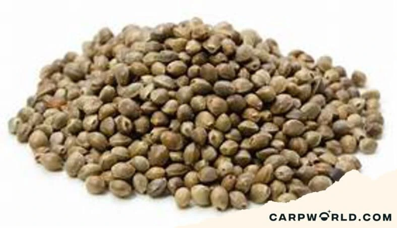 Hennep Zaad 1 Kg 3 Hennep Zaad 1 Kg