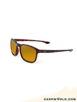 Fortis Strokes AM/PM Amber Tortoise Shell