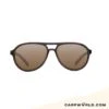Korda Sunglasses Aviator Tortoise Frame / Brown