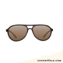 Korda Sunglasses Aviator Tortoise Frame / Brown