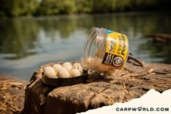 Solar Pop-Ups 14mm Dairy Cream