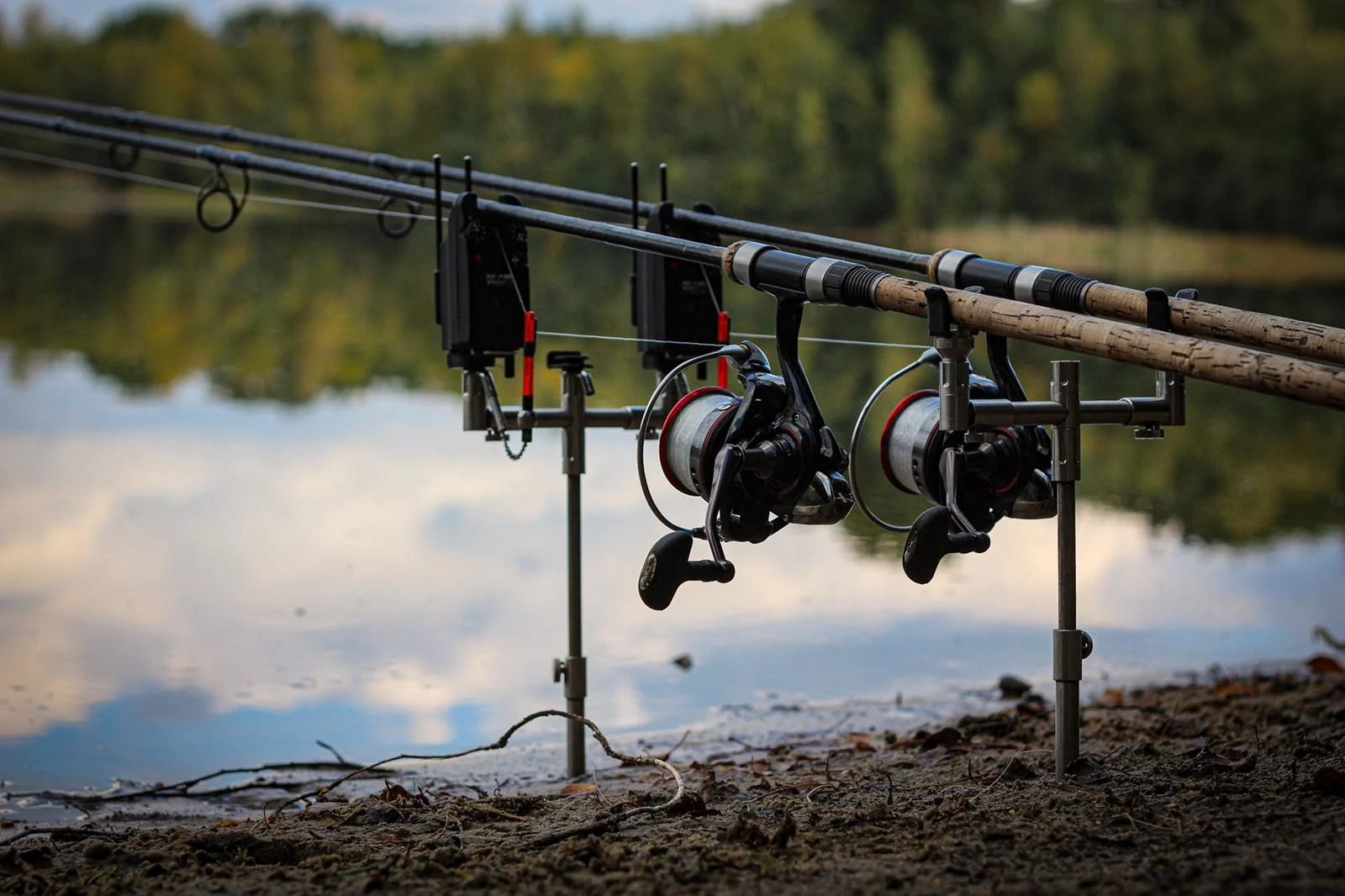 Korda Sportvissen Winkel -Korda Sportvissen Winkel setup